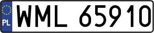 WML65910