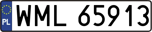 WML65913