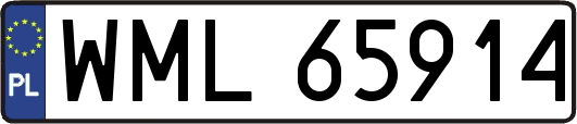 WML65914