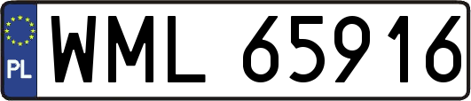 WML65916