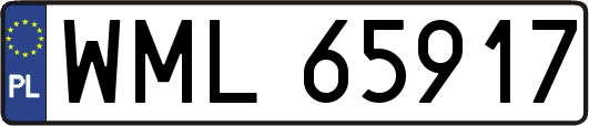 WML65917