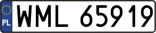 WML65919