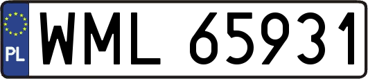 WML65931