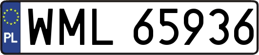 WML65936