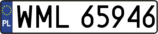 WML65946
