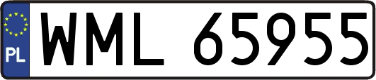 WML65955