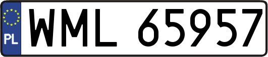 WML65957