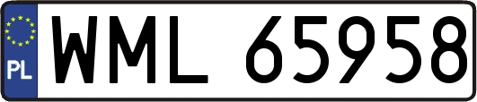 WML65958