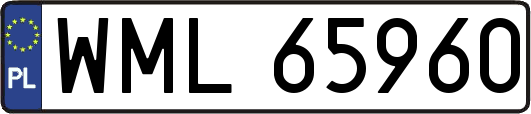 WML65960