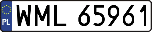 WML65961