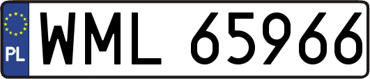WML65966