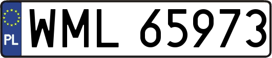 WML65973