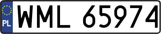 WML65974