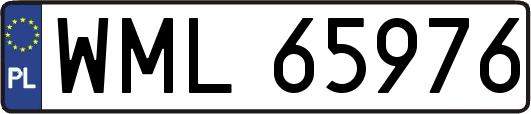 WML65976