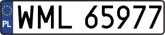 WML65977