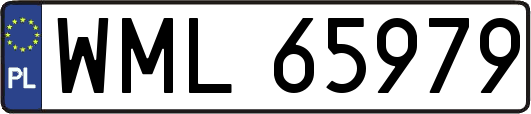 WML65979