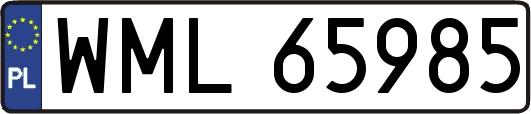WML65985