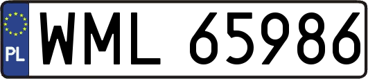 WML65986