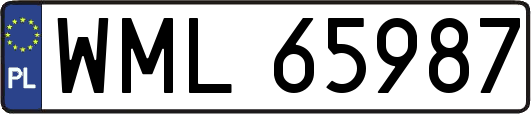 WML65987