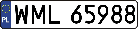 WML65988
