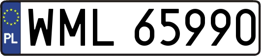 WML65990