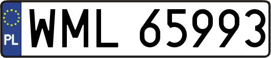 WML65993