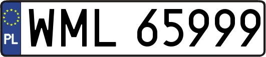 WML65999