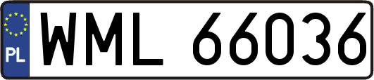 WML66036