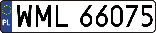 WML66075