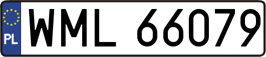 WML66079