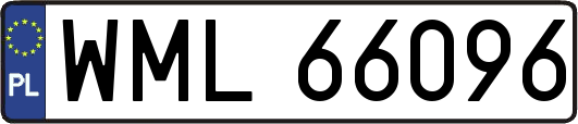 WML66096