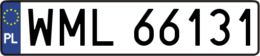 WML66131