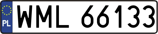 WML66133