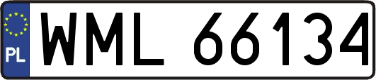 WML66134