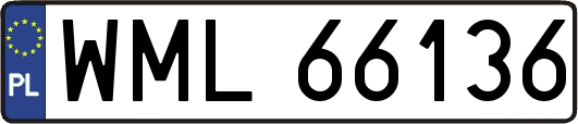 WML66136