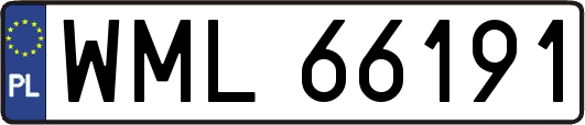 WML66191