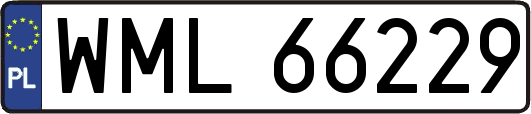 WML66229