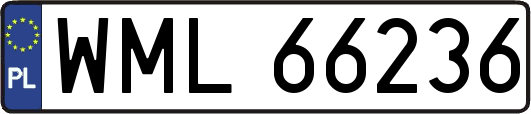 WML66236