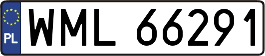 WML66291
