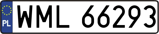 WML66293