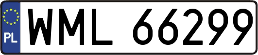 WML66299