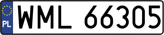 WML66305