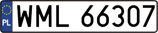 WML66307