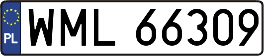 WML66309