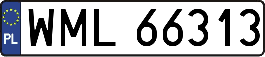 WML66313