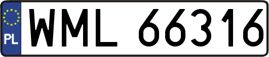 WML66316