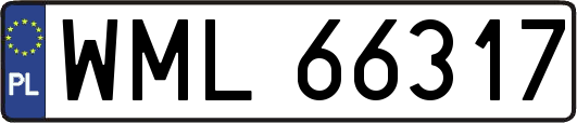 WML66317