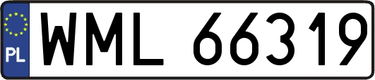 WML66319