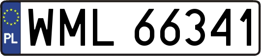 WML66341