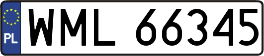 WML66345